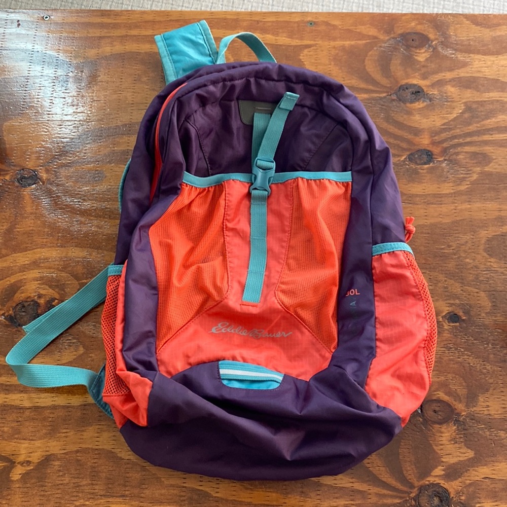 Eddie Bauer backpack
